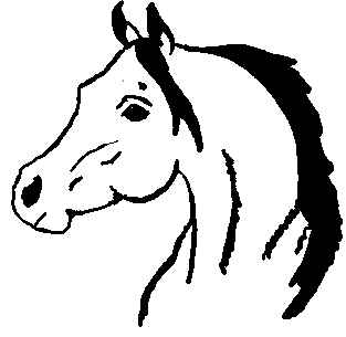 313x305 Pony Clipart Horse Face