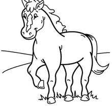 220x220 Pony Coloring Pages, Free Online Games, Drawing For Kids