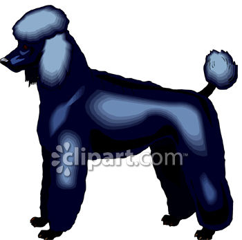 350x347 Dog Breed Standard Poodle