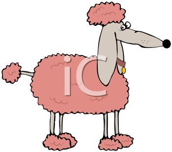 350x311 105 Best Poodle Art Images Diy, Beautiful And Dance