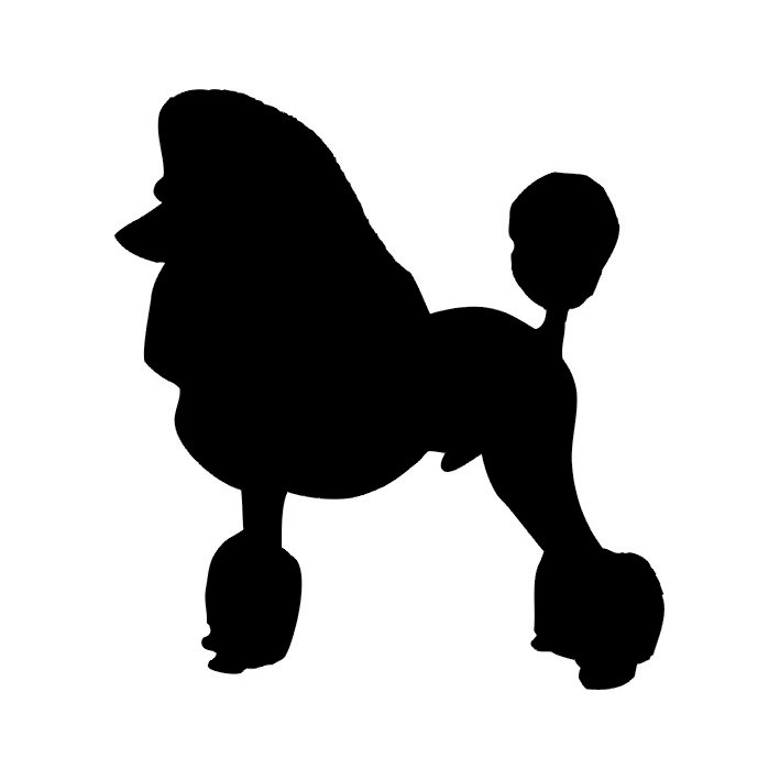 709x709 Poodle Clip Art