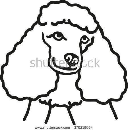 450x459 Poodle Clipart Head