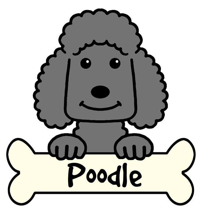 685x720 Black Poodle
