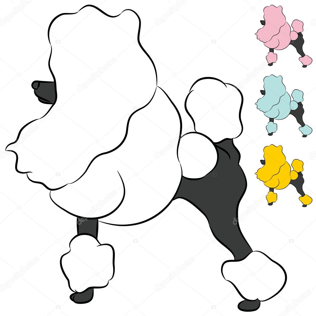 1024x1024 Groomed Miniature Poodle Dog Stock Vector Cteconsulting