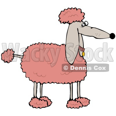400x400 Illustration Of A Fluffy Pink Groomed Poodle Dog In Profile