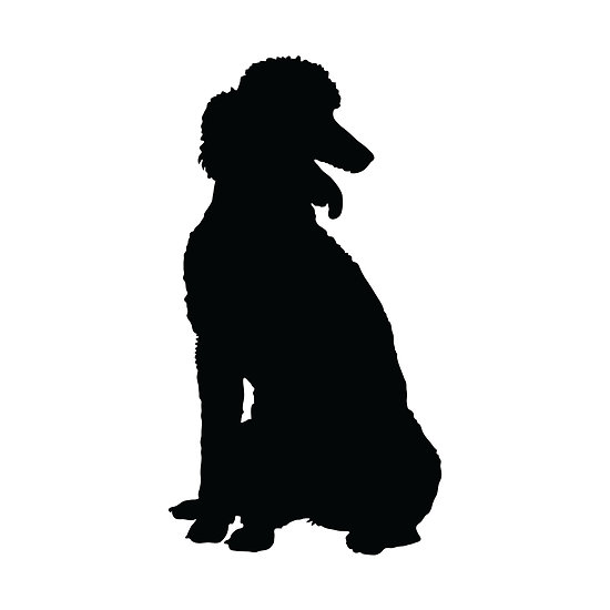550x550 Poodle Silhouette Clipart