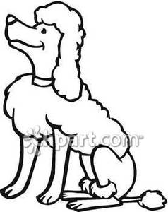 238x300 Poodle Clipart Black And White