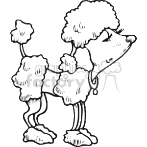 300x300 Royalty Free Black And White Cartoon Poodle 132003 Vector Clip Art