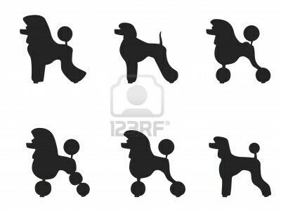 400x300 53 Best Poedels