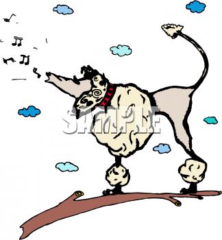324x350 Cartoon Poodle Howling Or Singing