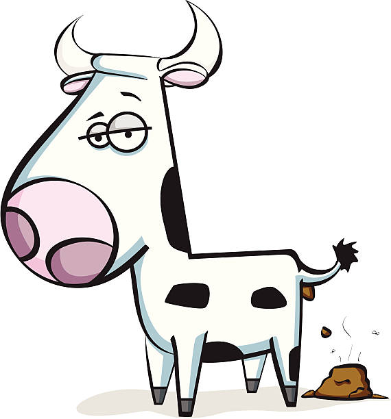 570x612 Cow Poop Clipart