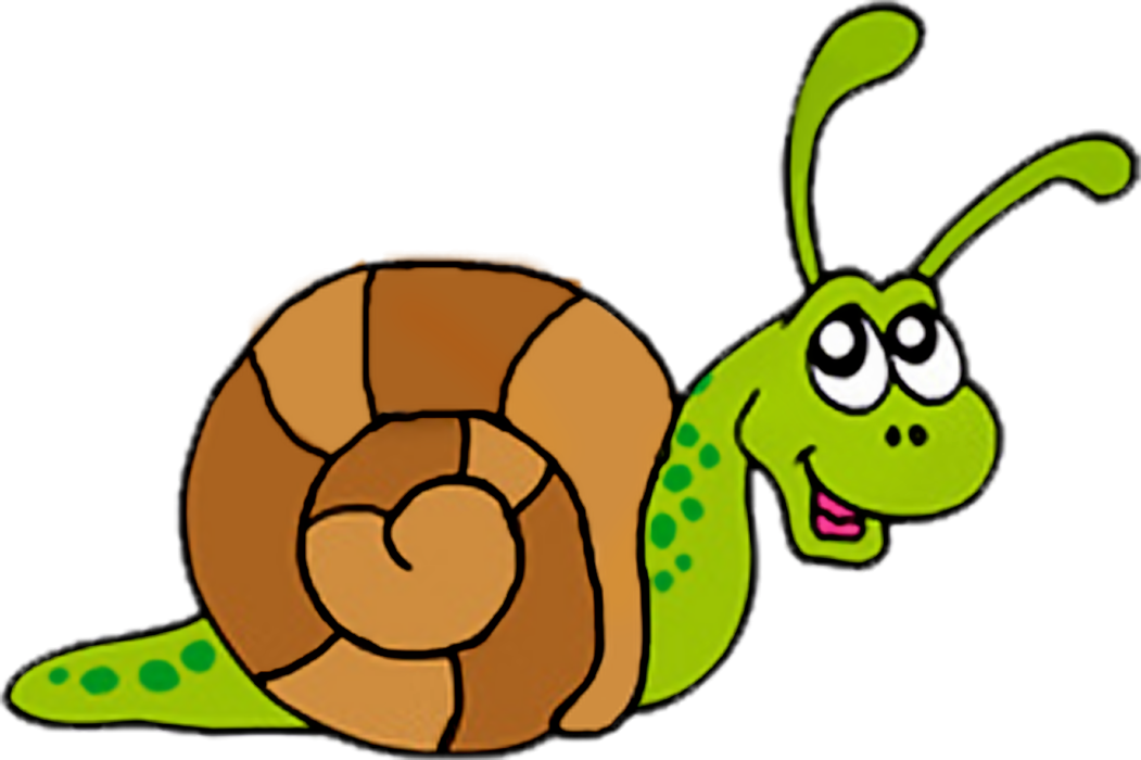 1051x700 Snail Clip Art Many Interesting Cliparts