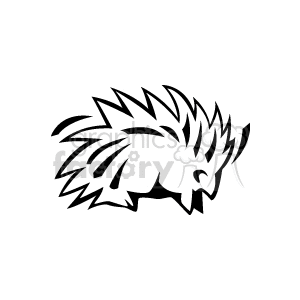 300x300 Rodent Rodents Animals Porcupine Porcupines Porcupine400.gif Clip