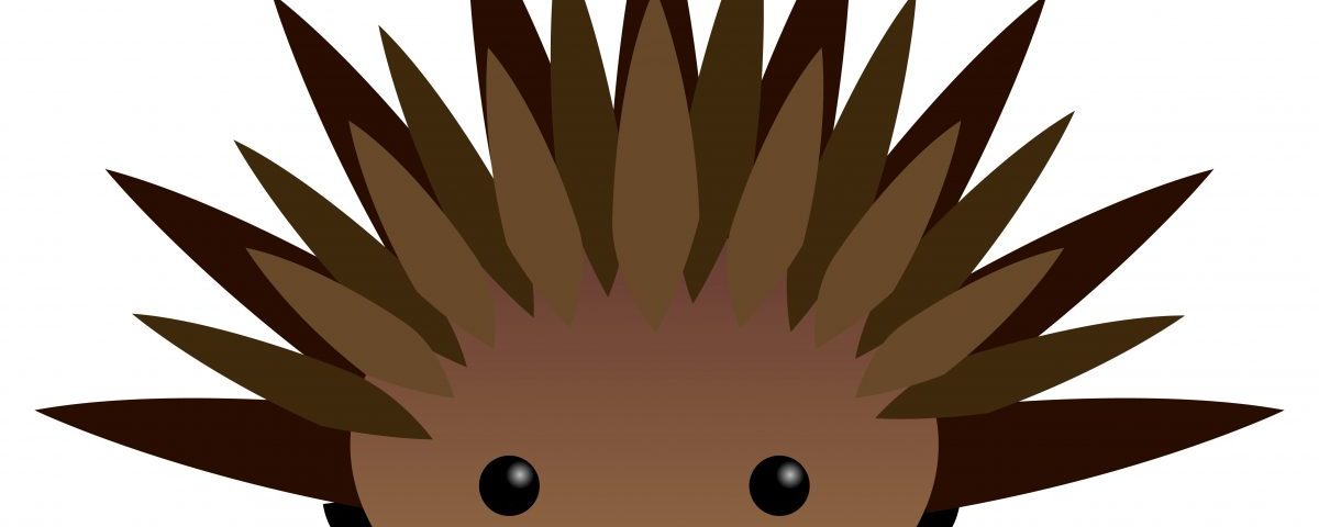 1200x480 Fibrosis Treatment Based On Porcupine Blocker Nearing 1st Clinical