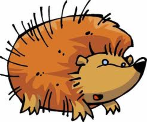 600x500 H Risson Free Images