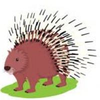 200x200 Porcupine Clipart