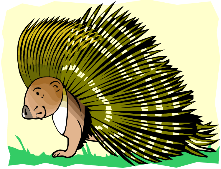 Porcupine Clipart Free Free Download On Clipartmag 