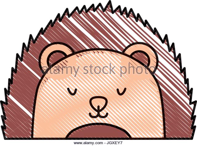 640x476 Porcupine Stock Vector Images