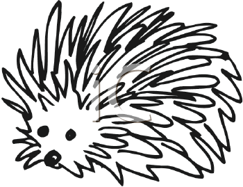 350x269 Top 92 Porcupine Clip Art