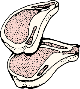 267x297 Pork Chops Clip Art Free Vector 4vector