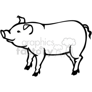 300x300 Royalty Free Farm Pig 374740 Vector Clip Art Image