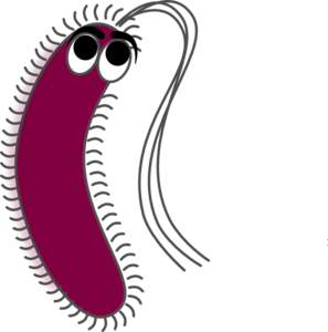 297x300 Gram Positive Clip Art