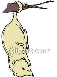 225x300 Hanging In A Tree