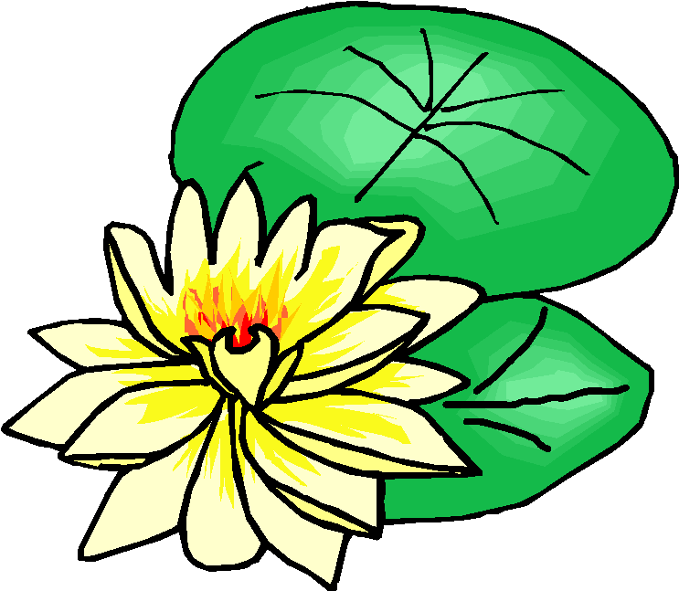 743x647 Lotus Leaf Clip Art