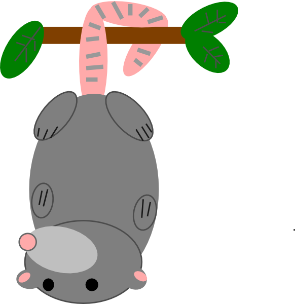 582x600 Possum Clip Art