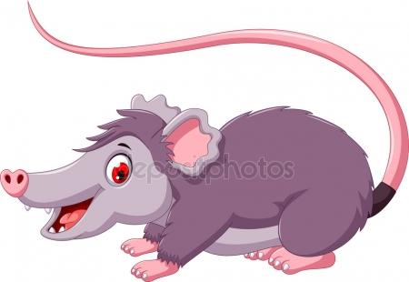 450x310 Possum Stock Vectors, Royalty Free Possum Illustrations