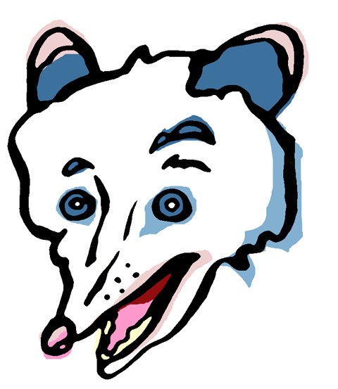 480x553 Possum Clipart Canadian