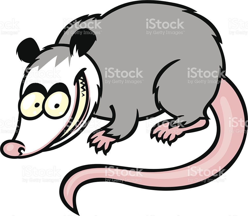 1024x890 Possum Clipart Tailed
