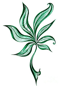 217x300 Marijuana Leaf Drawings Fine Art America