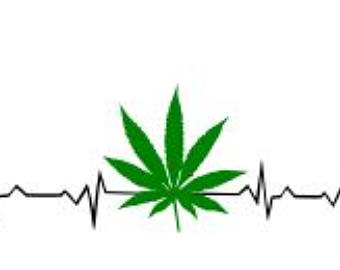 340x270 Marijuana Leaf Etsy