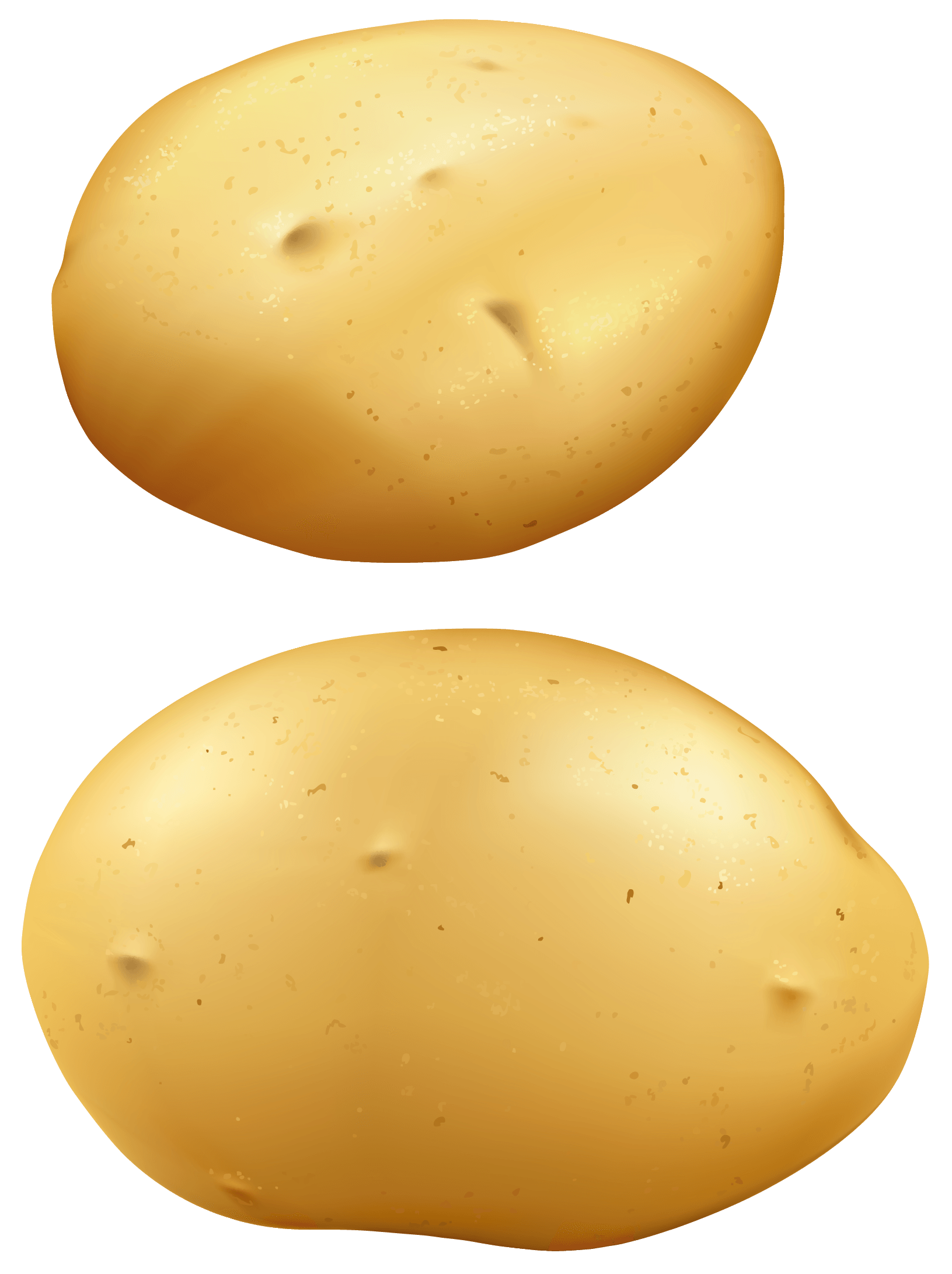 1631x2182 Potato Cliparts