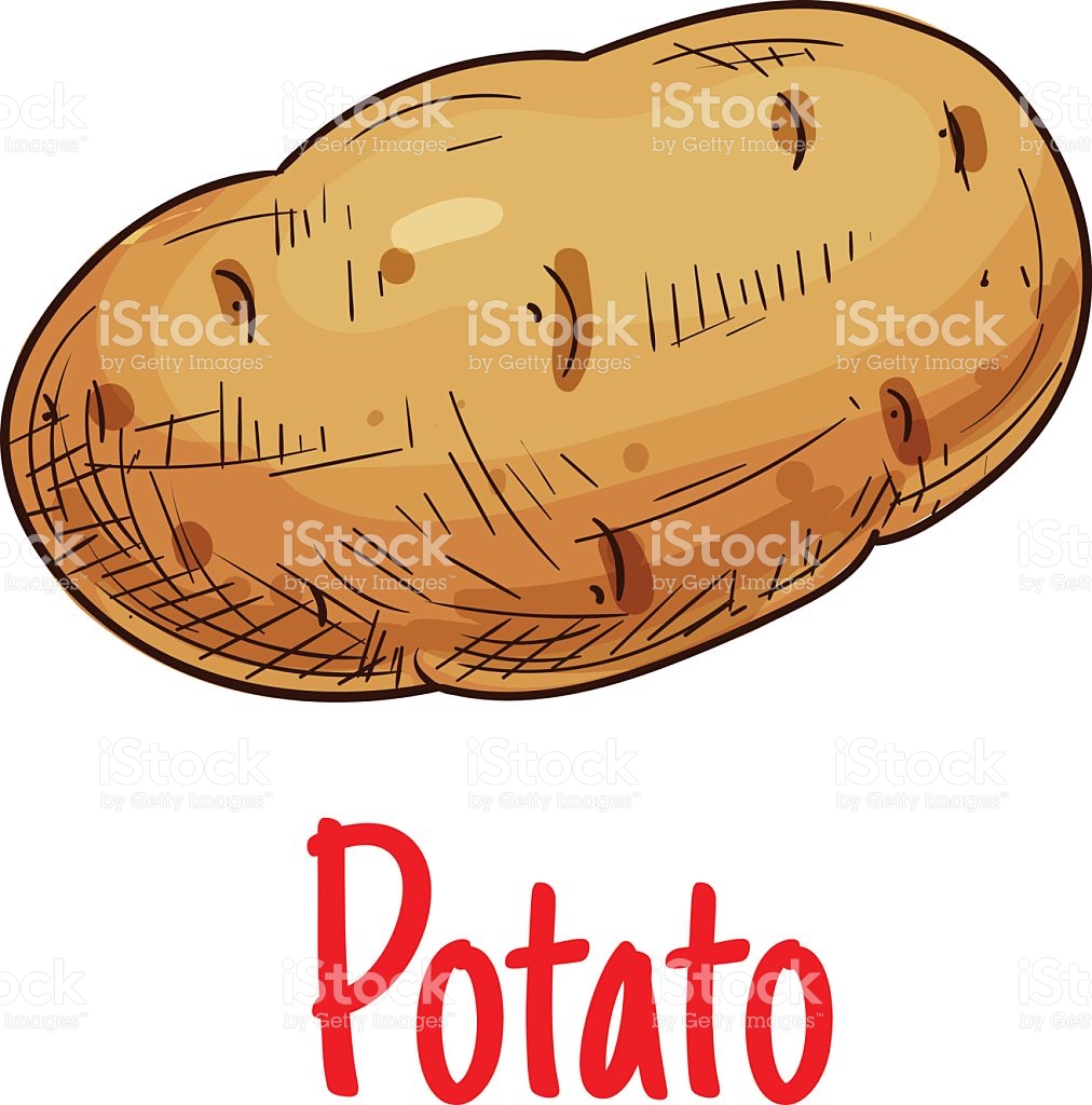 1012x1024 Potato Clipart Sketch