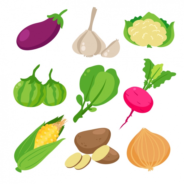 626x626 Potato Vectors, Photos And Psd Files Free Download