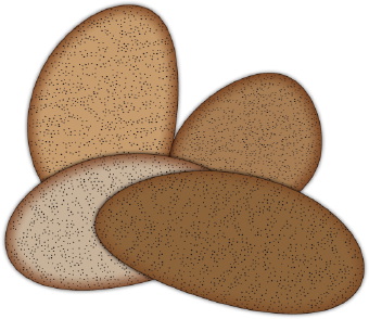 340x294 Potatoes Clip Art
