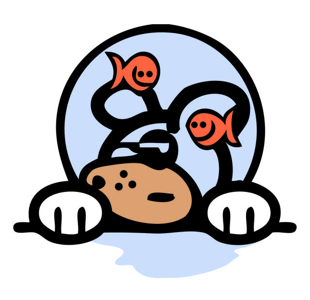 640x619 Pet Sitting Services In Alexandria, Va Dog Walking Cat Care