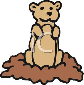 296x300 Prairie Dog Peeking Out Of His Hole