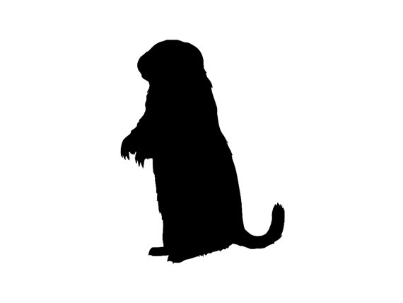 570x428 Prairie Dog Clip Art