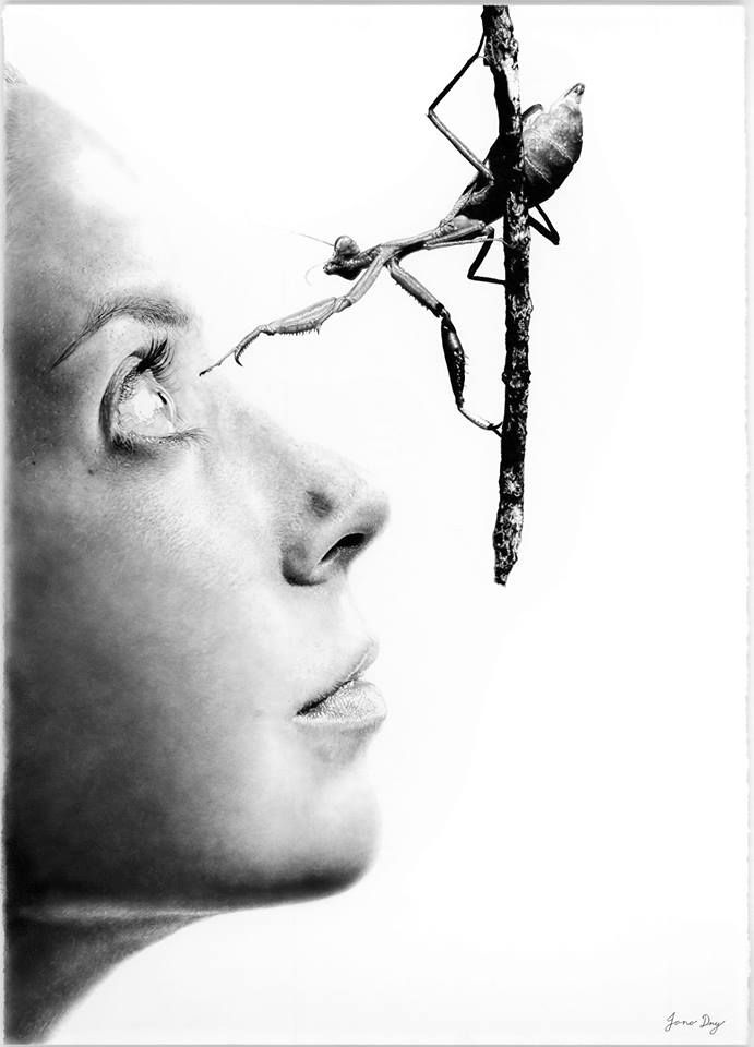 691x960 91 Best Animal Drawings Images Draw, Drawing