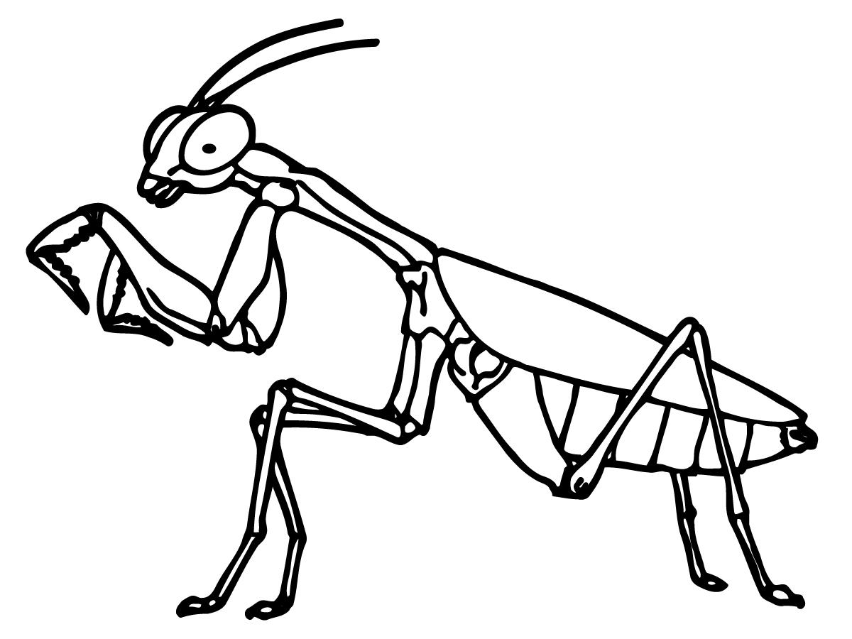 1200x900 Best Hd Mantis Clip Art Praying File Free