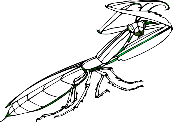600x425 Best Mantis Clipart