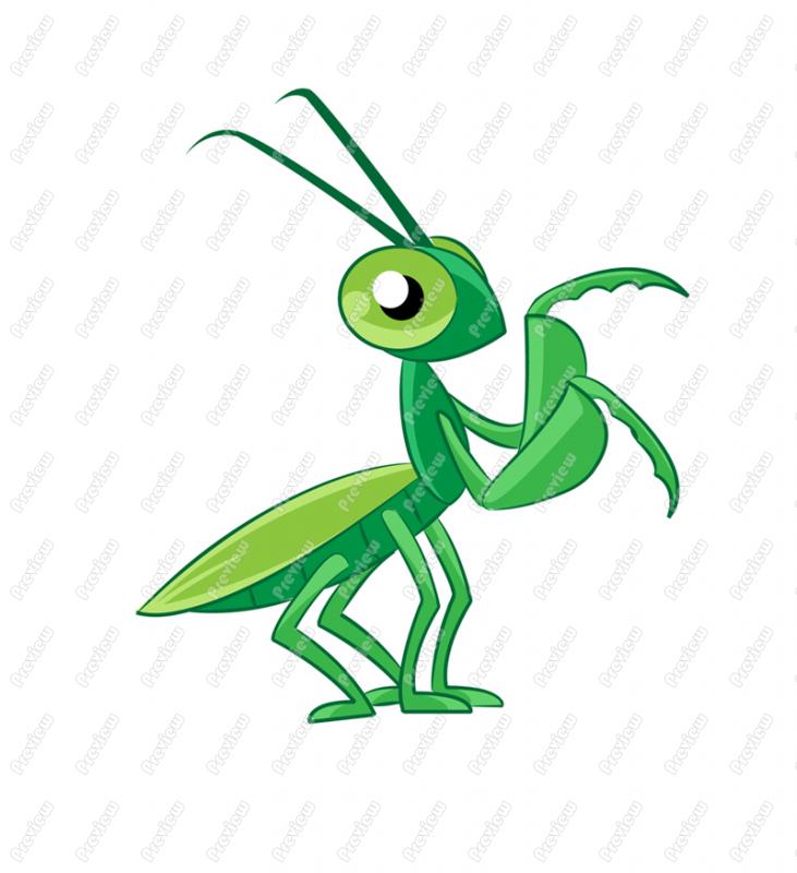 731x800 Praying Mantis Clip Art Free Clipart Panda Free Clipart Images