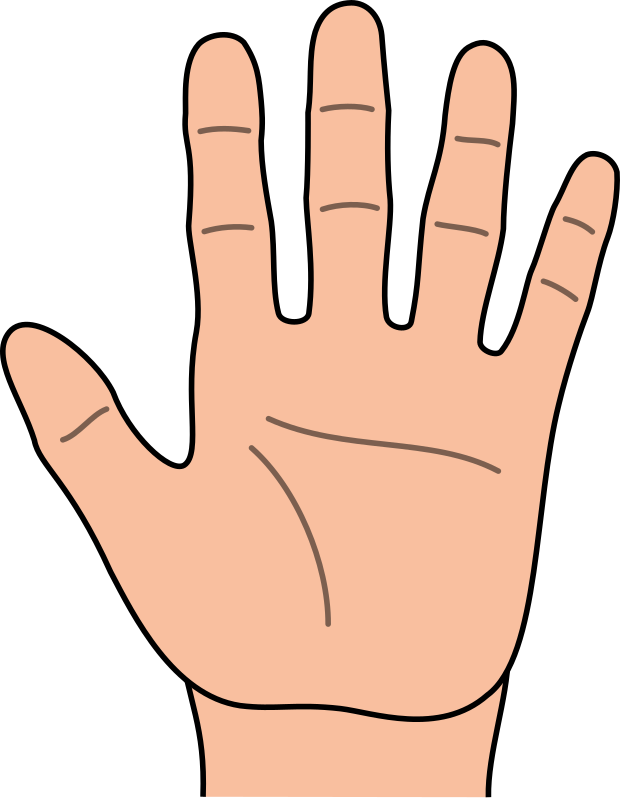 620x800 Open Praying Hands Clipart