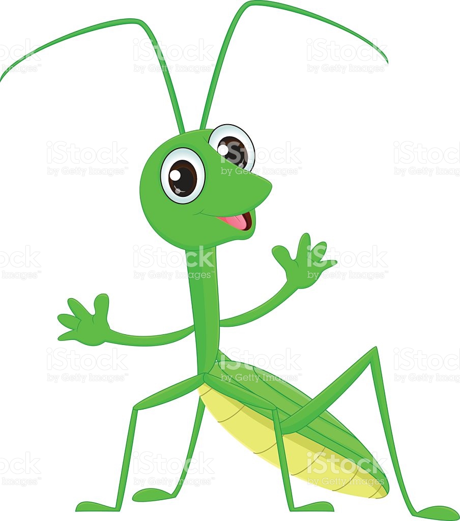 904x1024 Mantis Clipart Grasshopper