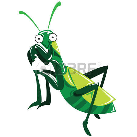 450x450 Mantis Clipart Green Bug