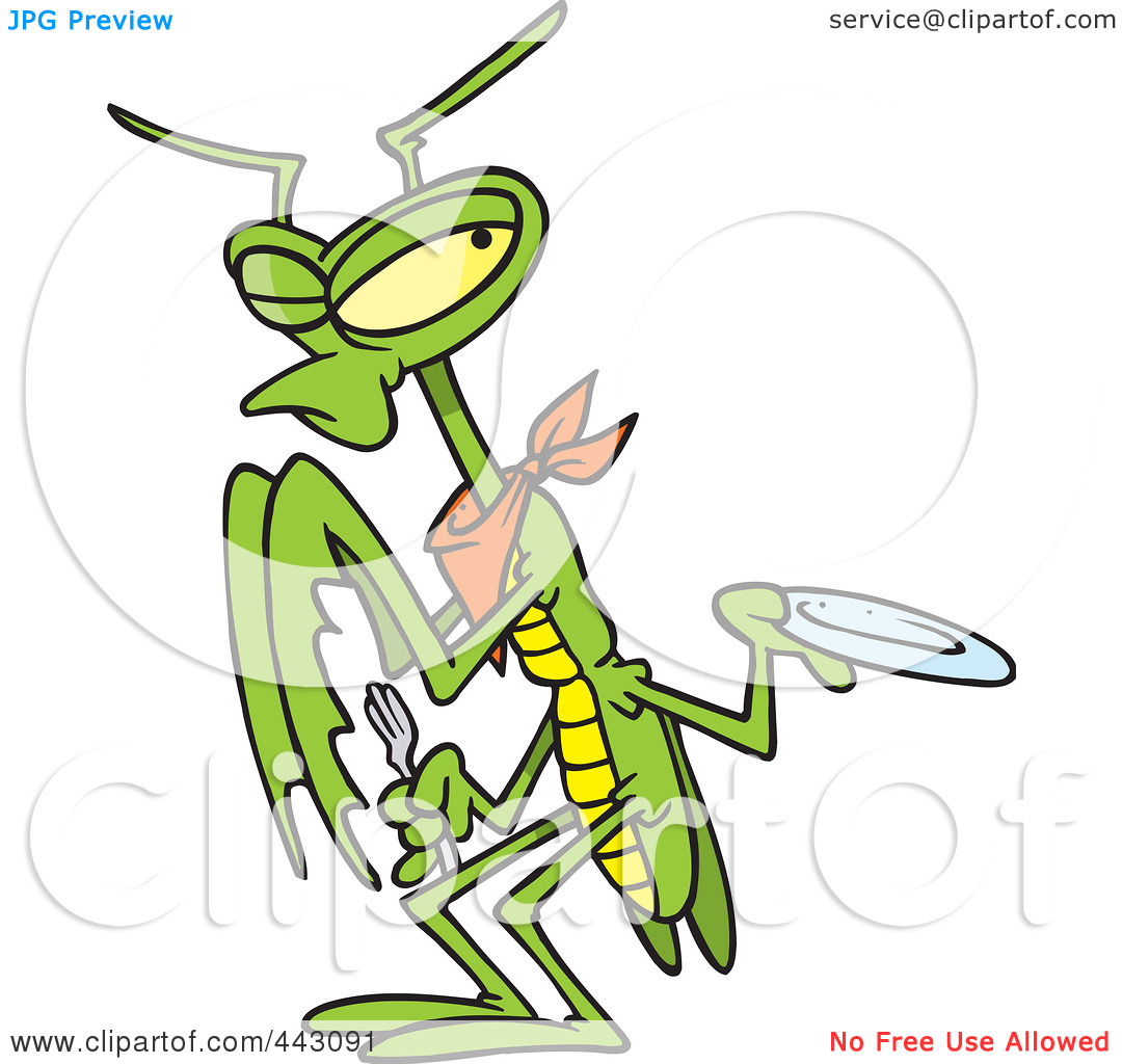 1080x1024 Praying Mantis Clipart Animated