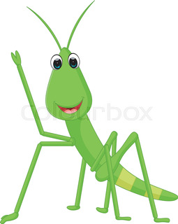 255x320 Praying Mantis Clipart Cricket